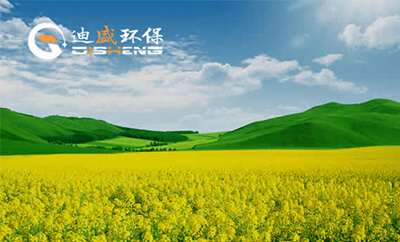 迪盛环保设备