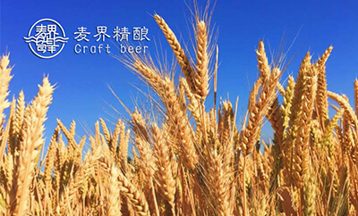 麦界精酿